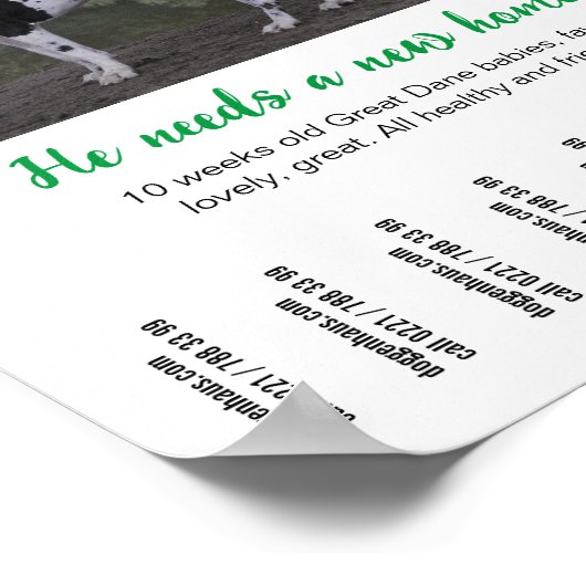 Dog om poster sjabloon te verkopen (Hoek)