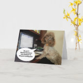 Dog on Computer, Blames Cat Funny Birthday Kaart (Gele Bloem)