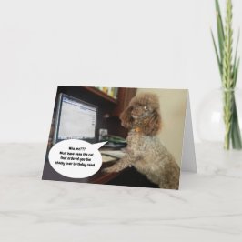 Dog on Computer, Blames Cat Funny Birthday Kaart