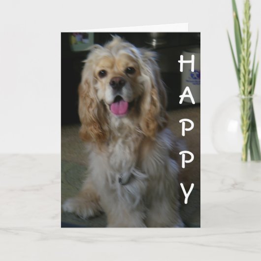 "DOG-ON GOOD BIRTHDAY" zegt COCKER SPANIEL Kaart (Voorkant)