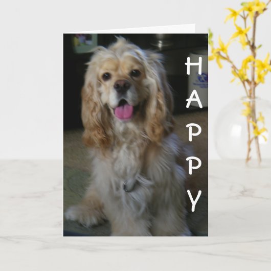"DOG-ON GOOD BIRTHDAY" zegt COCKER SPANIEL Kaart (Gele Bloem)