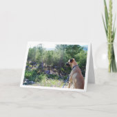 Dog on Hill Portrait Kaart (Voorkant)