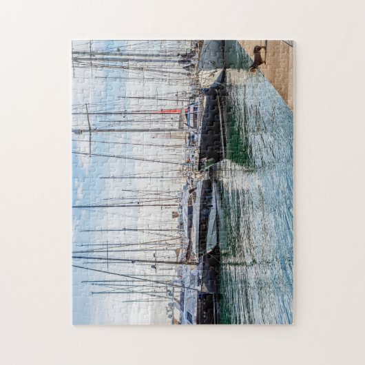 Dog on Paseo maritimo - Palma de Mallorca, Spanje Legpuzzel (Verticaal)