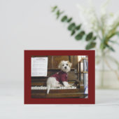 Dog on piano briefkaart (Staand voorkant)