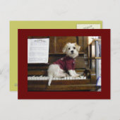 Dog on piano briefkaart (Voorkant / Achterkant)