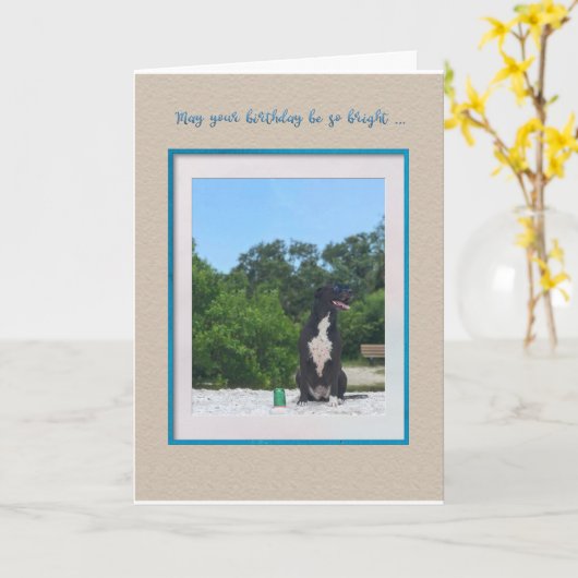 Dog on the Beach Birthday Kaart (Gele Bloem)