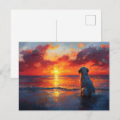Dog on the Beach Watching the Sunset Briefkaart (Voorkant / Achterkant)