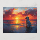 Dog on the Beach Watching the Sunset Briefkaart (Voorkant)