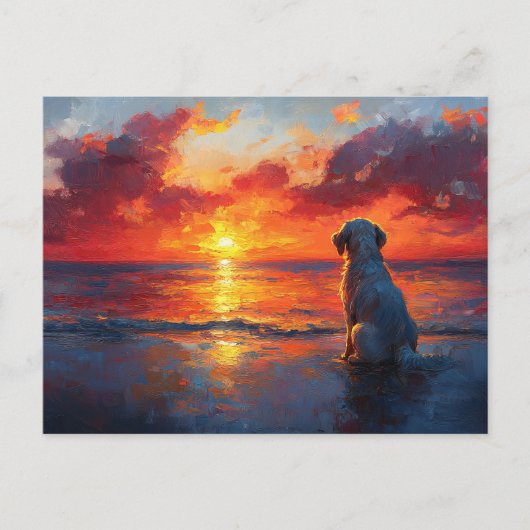 Dog on the Beach Watching the Sunset Briefkaart (Voorkant)