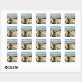 "Dog on the Dock" Labrador Dog Foto Sticker (Vel)