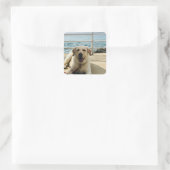 "Dog on the Dock" Labrador Dog Foto Sticker (Tas)