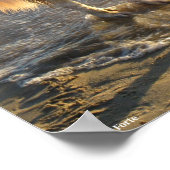 Dog On The Shore Poster (Hoek)