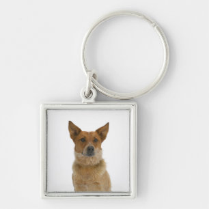 Dog on White 01 Sleutelhanger