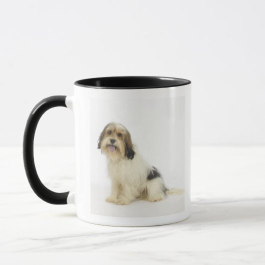 Dog on White 104 Mok (Links)