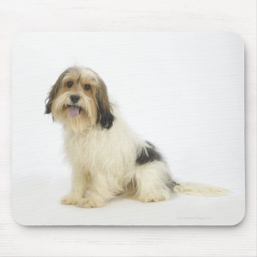 Dog on White 104 Muismat (Voorkant)