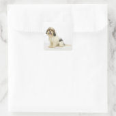 Dog on White 104 Vierkante Sticker (Tas)