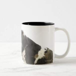 Dog on White 11 Tweekleurige Koffiemok