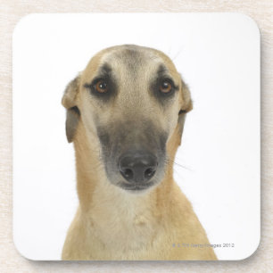 Dog on White 41 Bier Onderzetter