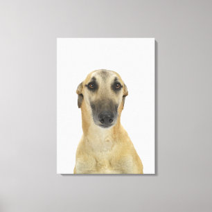 Dog on White 41 Canvas Afdruk