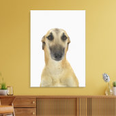 Dog on White 41 Canvas Afdruk (Insitu (Woonkamer))