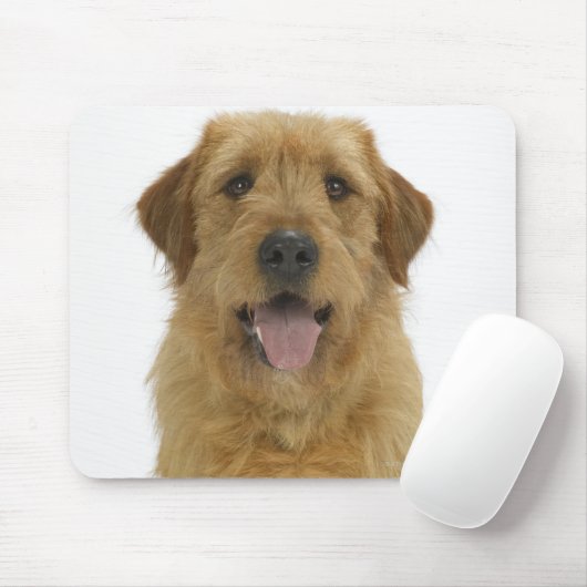 Dog on White 44 Muismat (Met muis)