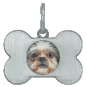 Dog-ontwerpen voor dichter- en dichter-liefhebbers huisdieren naamplaatje