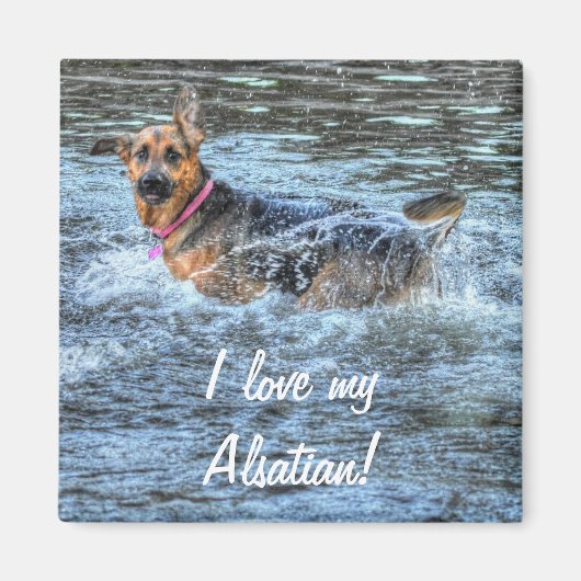 Dog-ontwerpen voor dichter- en dichter-liefhebbers magneet (Voorkant)