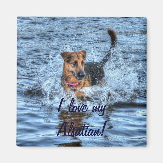 Dog-ontwerpen voor dichter- en dichter-liefhebbers magneet (Voorkant)