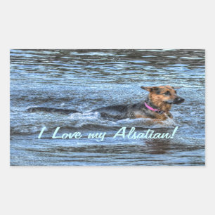 Dog-ontwerpen voor dichter- en dichter-liefhebbers rechthoekige sticker