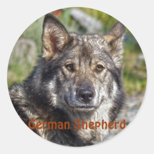 Dog-ontwerpen voor dichter- en dichter-liefhebbers ronde sticker