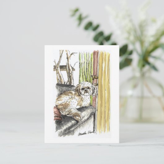 Dog op Briefkaarten met een sofa (Staand voorkant)