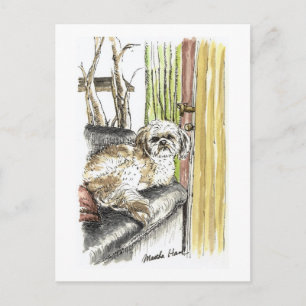 Dog op Briefkaarten met een sofa