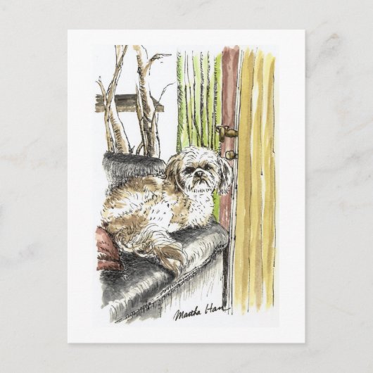 Dog op Briefkaarten met een sofa (Voorkant)