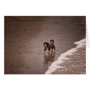 Dog op de Beach Sepia Toned Blank