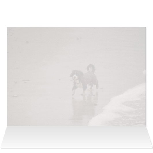 Dog op de Beach Sepia Toned Blank (Binnen Horizontaal (Boven))