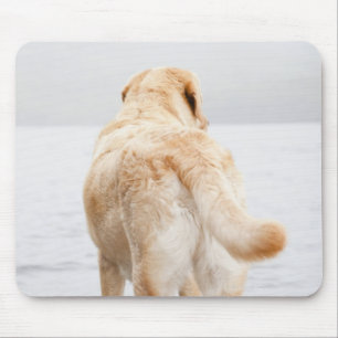 Dog op dok muismat