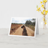 Dog op DustRoad Kaart (Gele Bloem)