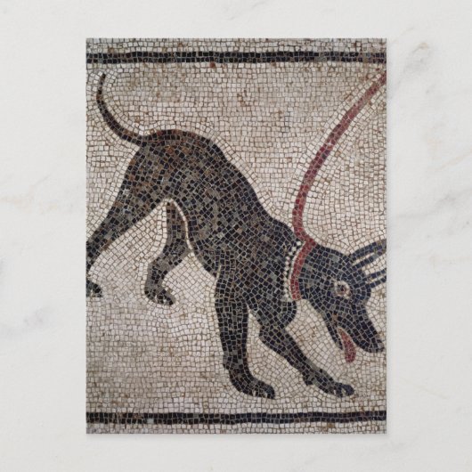 Dog op een as van Pompeii Briefkaart (Voorkant)