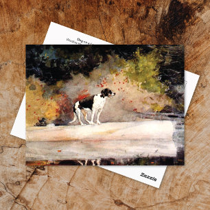 Dog op een logwasHomer Briefkaart