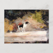 Dog op een logwasHomer Briefkaart (Voorkant)