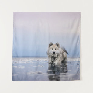 DOG OP KALMBODY WATER WANDKLEED