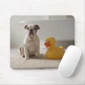 Dog op mat met plastic eend muismat (Met muis)