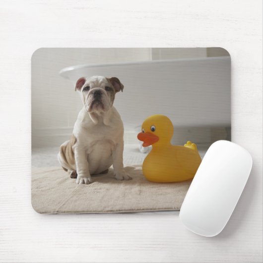 Dog op mat met plastic eend muismat (Met muis)