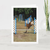 Dog op opleidingsschool kaart (Voorkant)