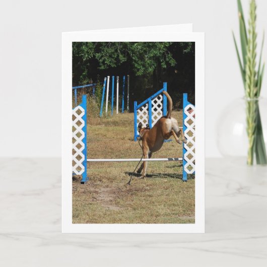 Dog op opleidingsschool kaart (Voorkant)