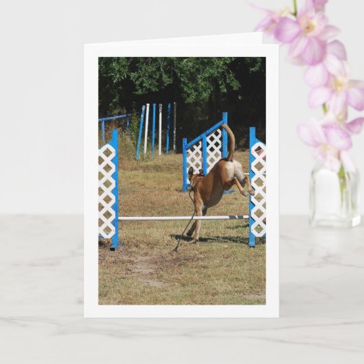 Dog op opleidingsschool kaart (Orchidee)