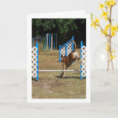 Dog op opleidingsschool kaart (Gele Bloem)