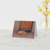 Dog op rustbriefkaart kaart (Gele Bloem)