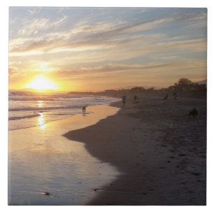 Dog op Sunset California Dreaming Tegel Tegeltje