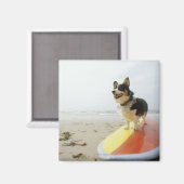 Dog op surfbord magneet (Voorkant / Achterkant)